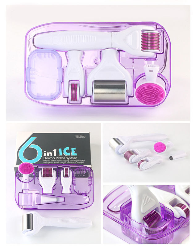 プロの医療用PC ハンドル 脱がれるICE 皮膚再生用の6イン1ドर्माローラー